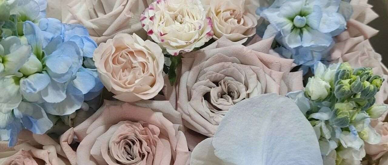 润贤中医学堂李老师推拿理疗课收官日：满心感恩寄深情，匠心传承暖人心